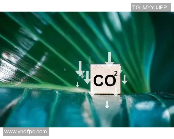 欧盟碳边境调节机制或导致进口商品价格上涨,对全球贸易带来冲击 欧盟碳边境调节机制或导致进口商品价格上涨,对全球贸易带来冲击